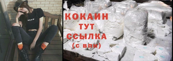 стафф Аркадак