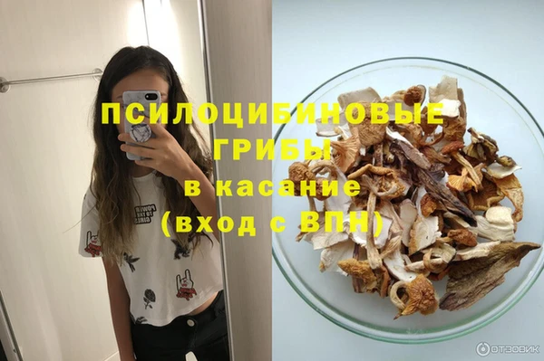 стафф Аркадак