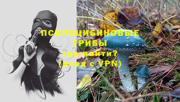 альфа пвп Армянск