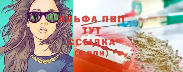 стафф Аркадак