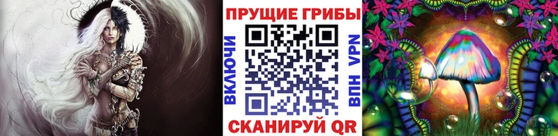 закладки  Гремячинск  Псилоцибиновые грибы Magic Shrooms 